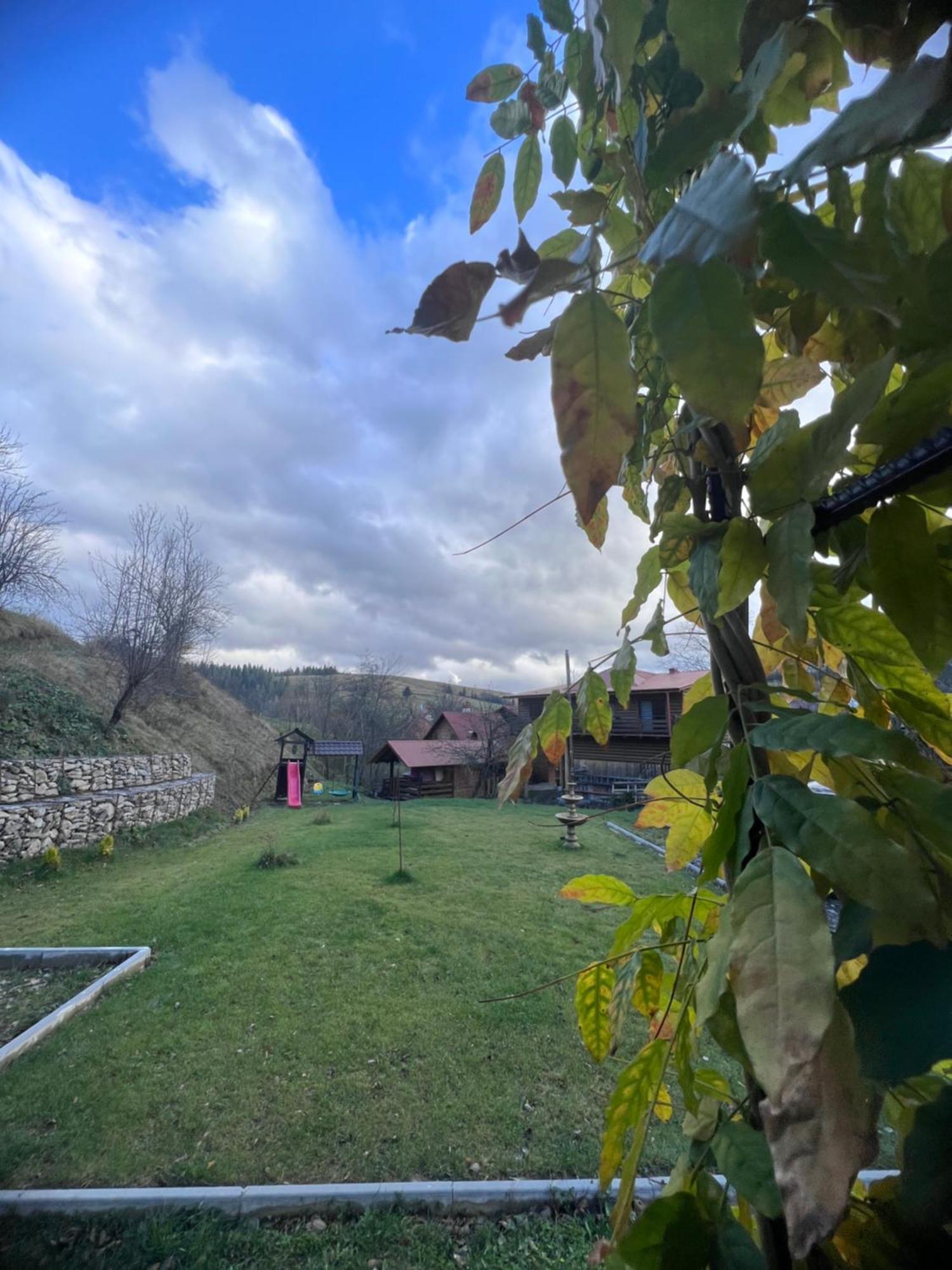 Villa Dva Braty Eco Podobovets